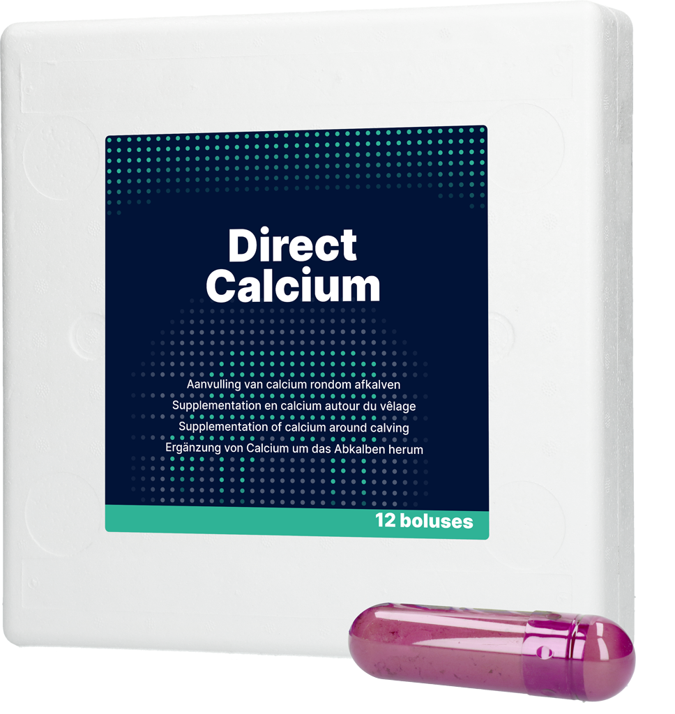 Direct Calcium 12 x 94 g