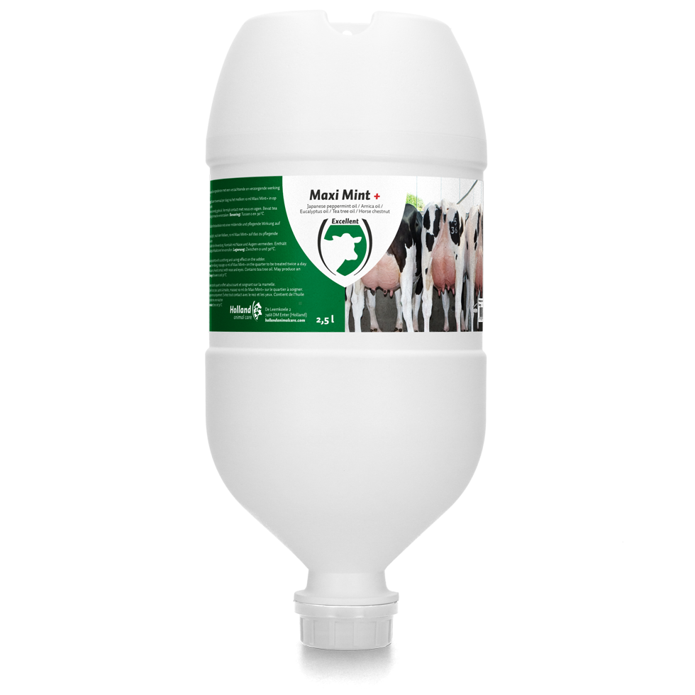 Excellent Maxi Mint+ Hängetube 2,5 l