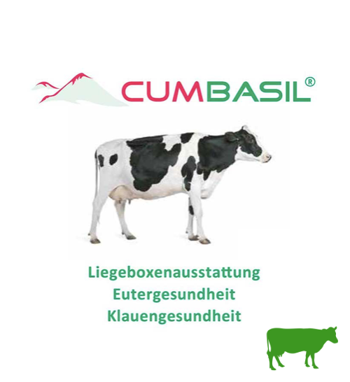 WITTELER Cumbasil Silikatgesteinsmehl für Liegeboxen - Big Bag