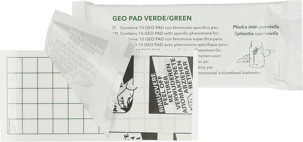 Geo Klebeplatte Lebenmittelmotten 