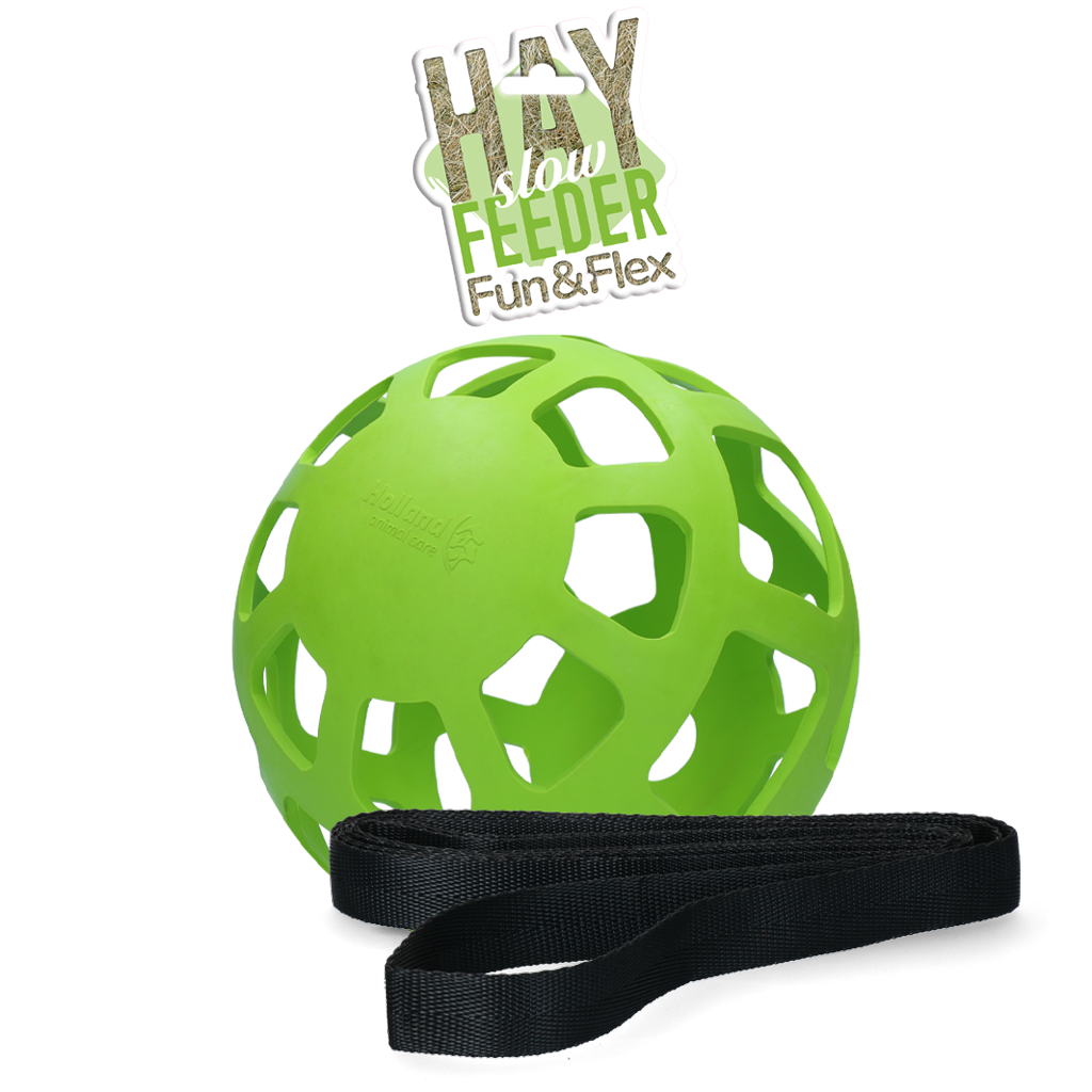 Hay Slow Feeder Fun & Flex Grün