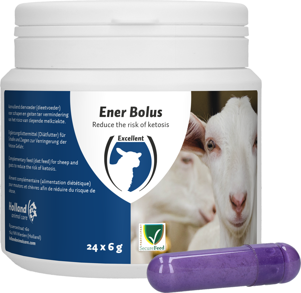Excellent Ener Bolus Schaf & Ziege 