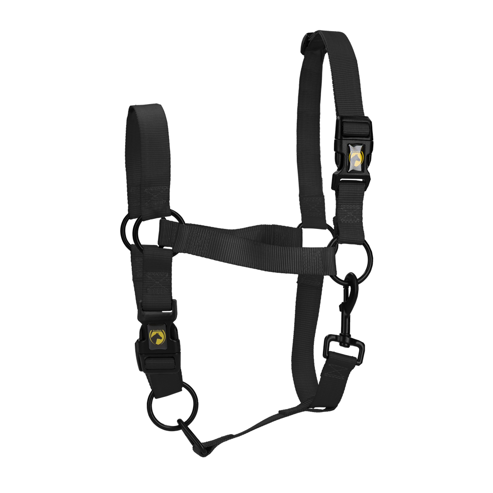 Excellent Essential Halfter Schwarz XS