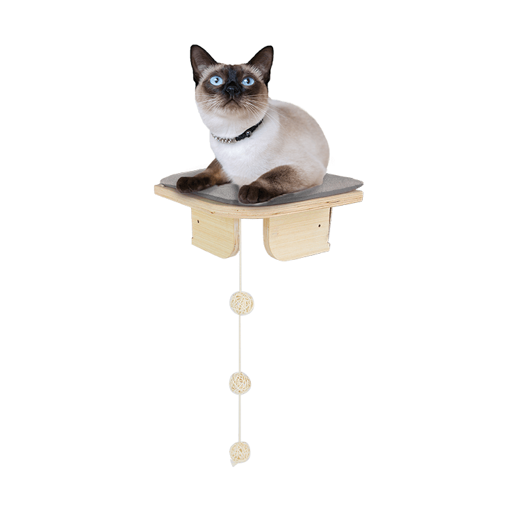 AFP Skywalk - Corner Platform 