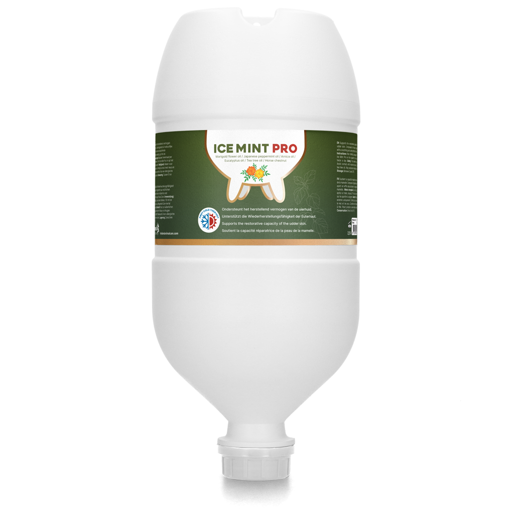 Ice Mint Pro Gel Hängeflasche 2,5 l