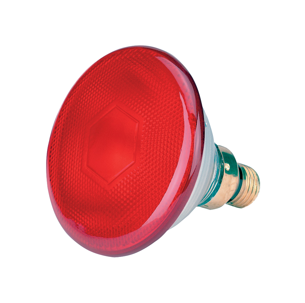 Sparlampe 100 W - Rot