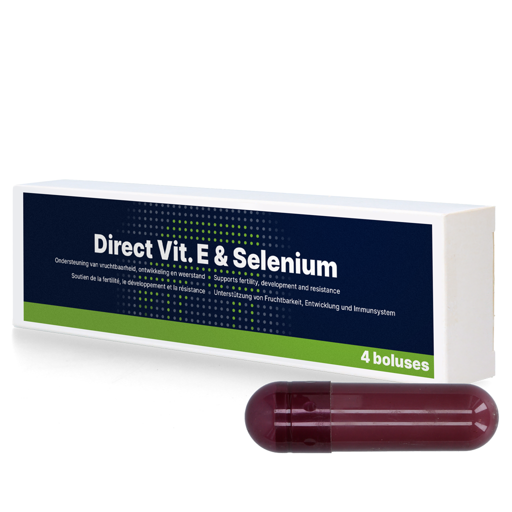 Direct Vit. E & Selenium 4 x 105 g