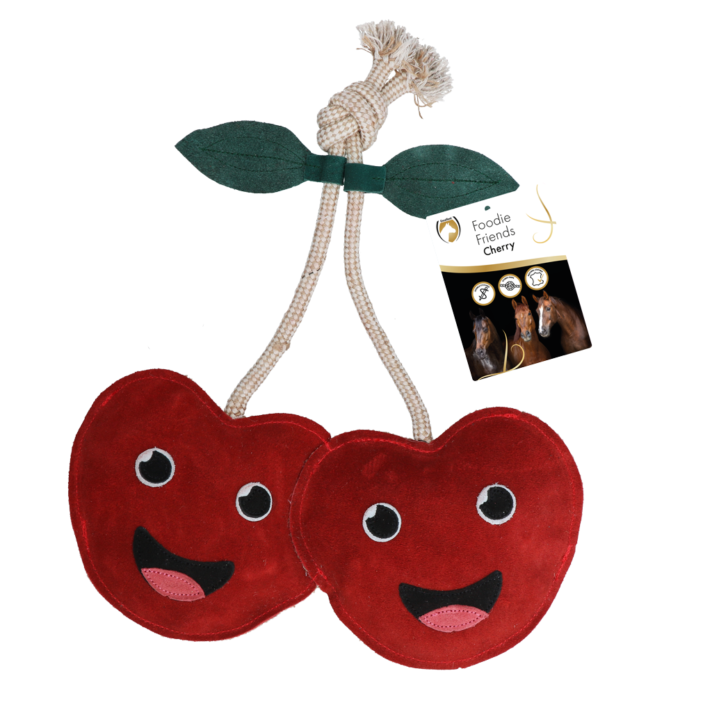 Excellent Horse Foodie Friends Cherry