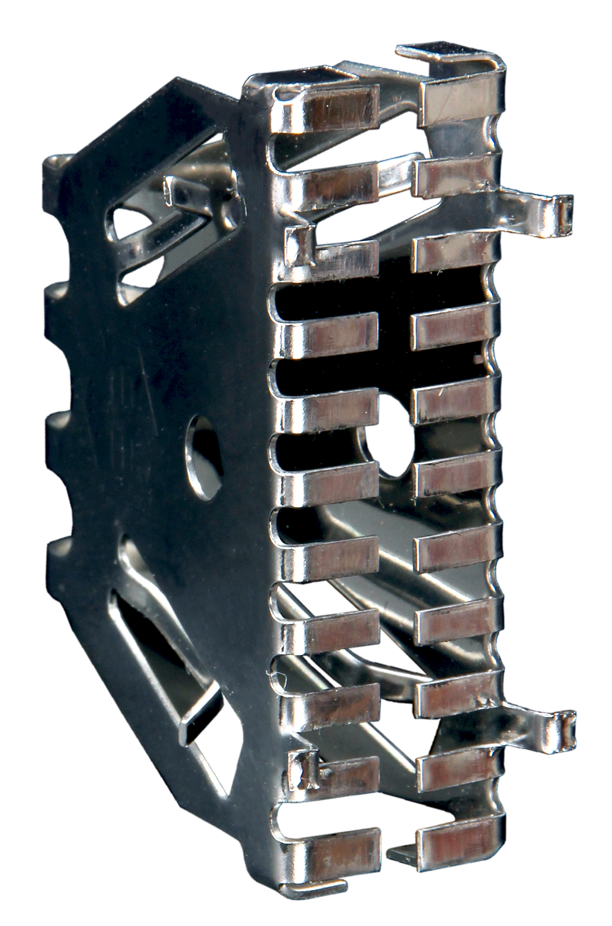 Bienenbeisser Stoßfuge 5 cm