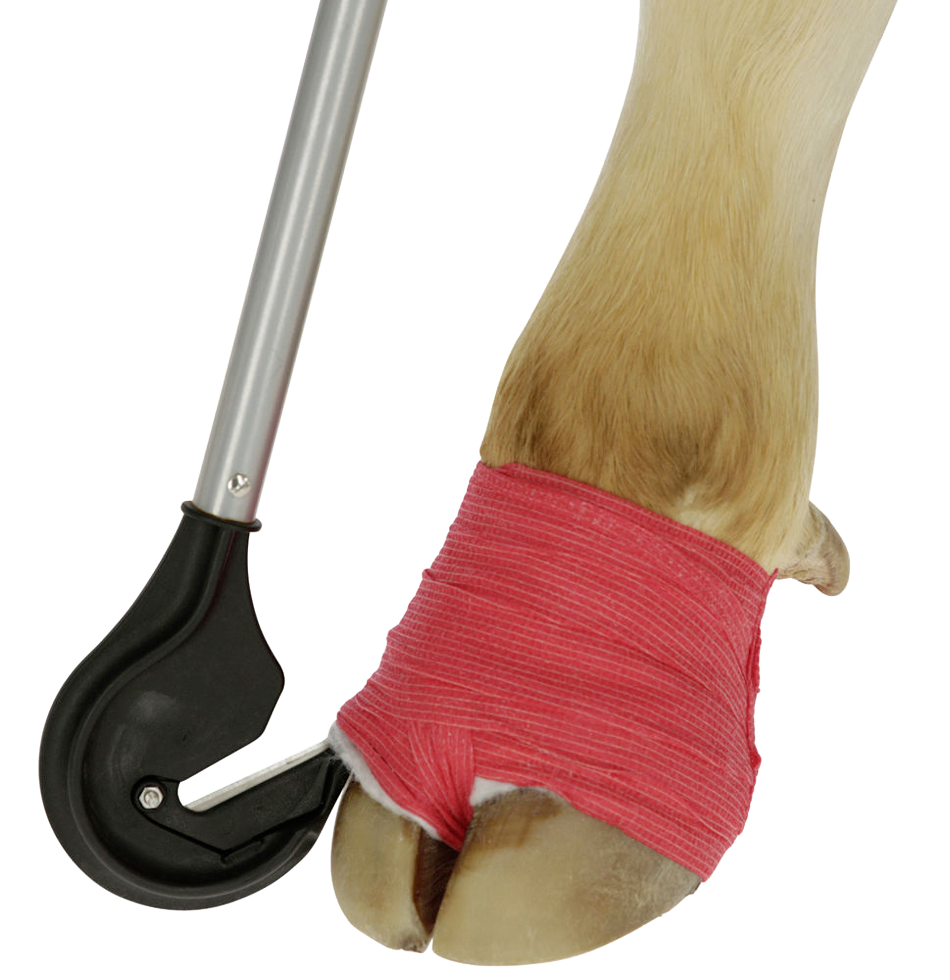 Klauenbandagen Messer 1 meter 