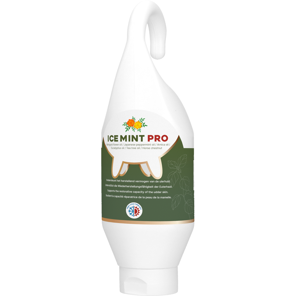 Ice Mint Pro Gel Steh- u. Hängeflasche 500 ml