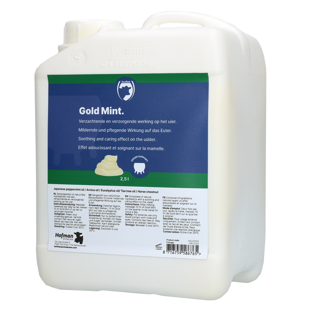 Excellent Gold Mint Bulkverpackung inkl Dosator 2,5 l