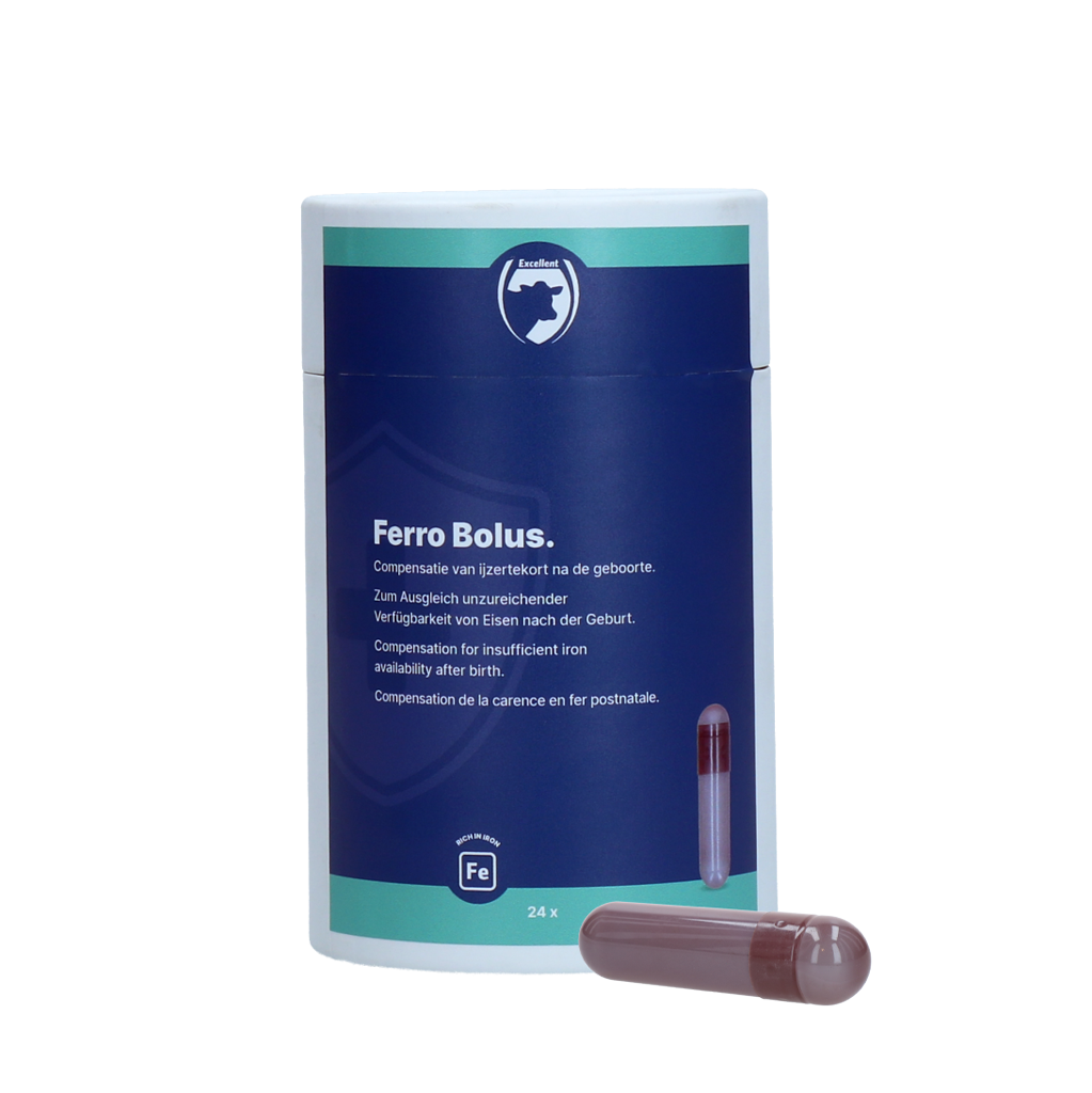 Excellent Ferro Bolus 24 x 9 g