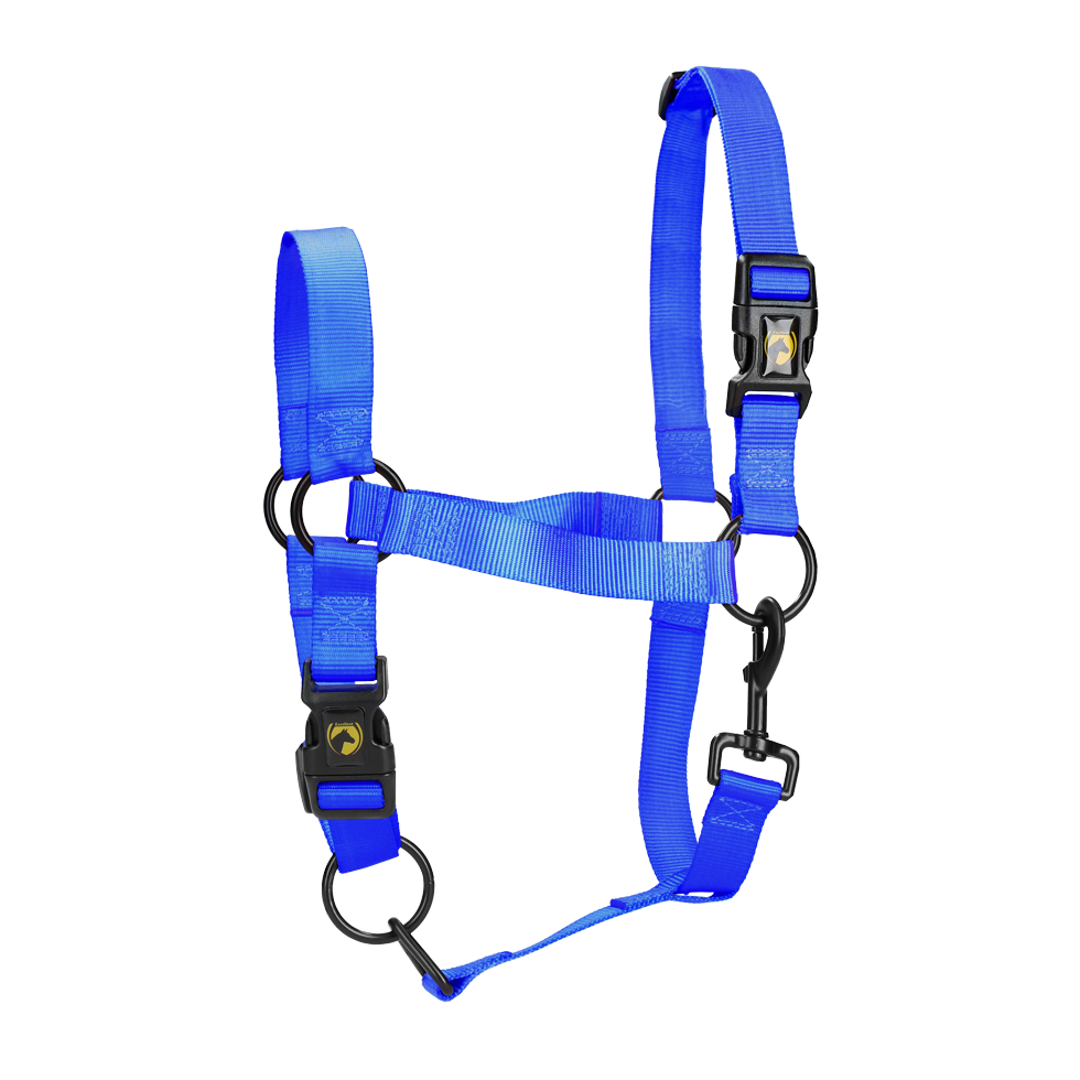 Excellent Essential Halfter Blau XS