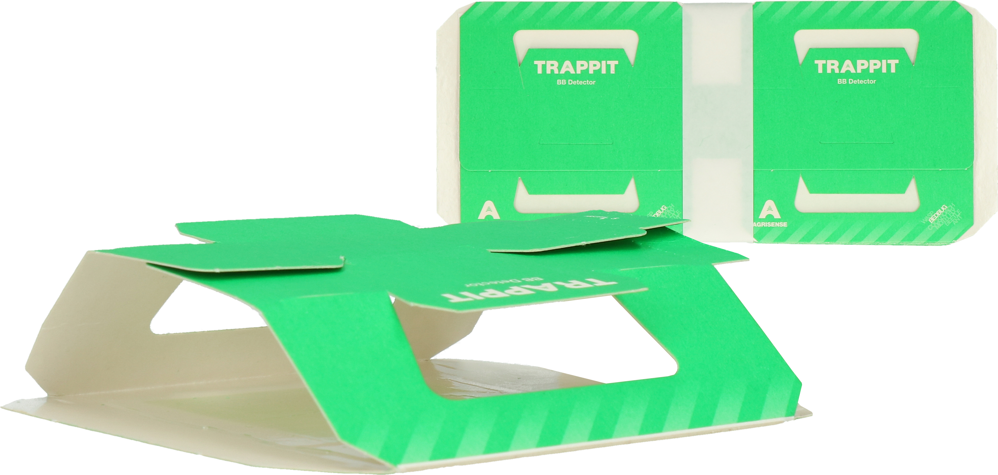 Bettwantze Monitor mit Pheromon 