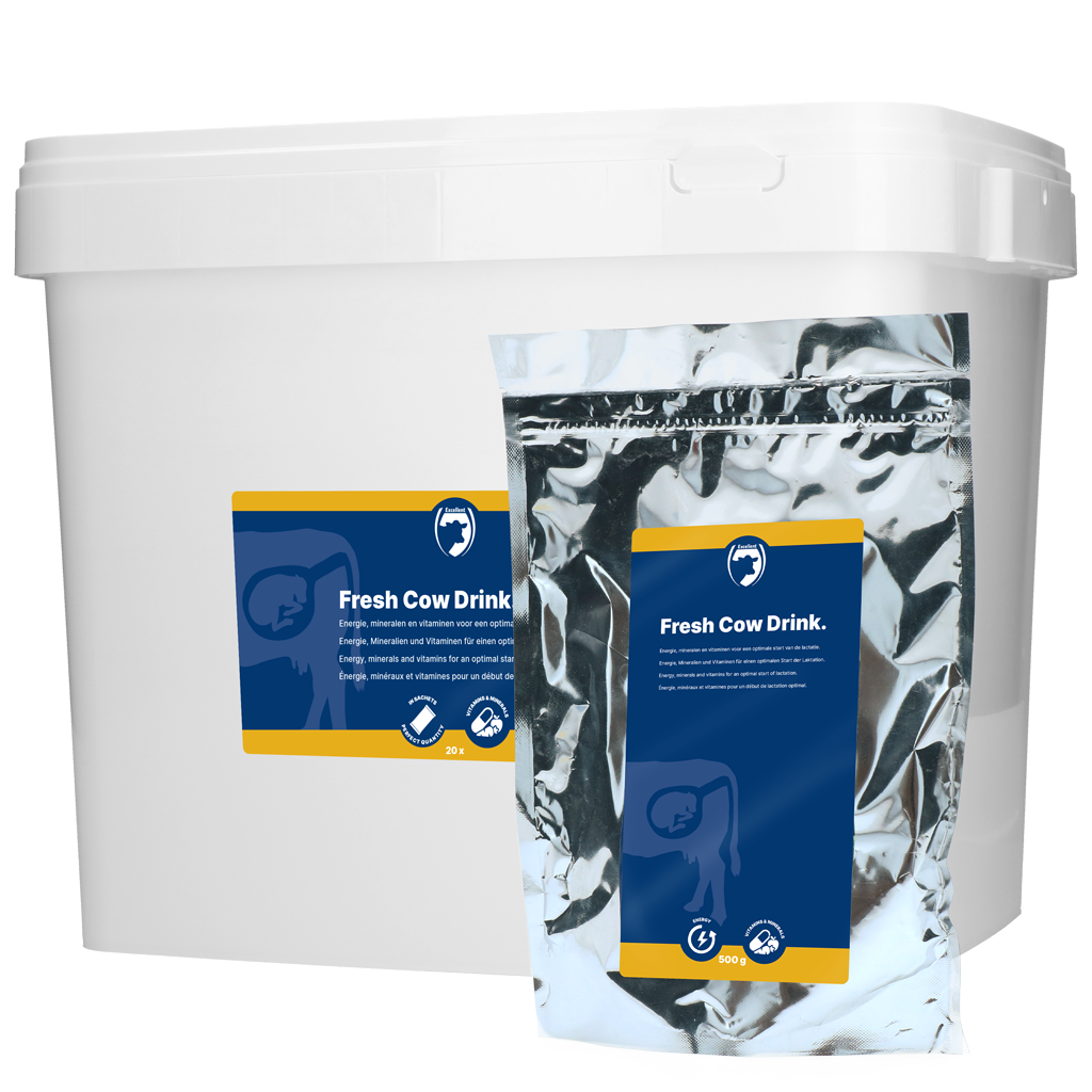 Excellent Abkalbetrunk 500 g