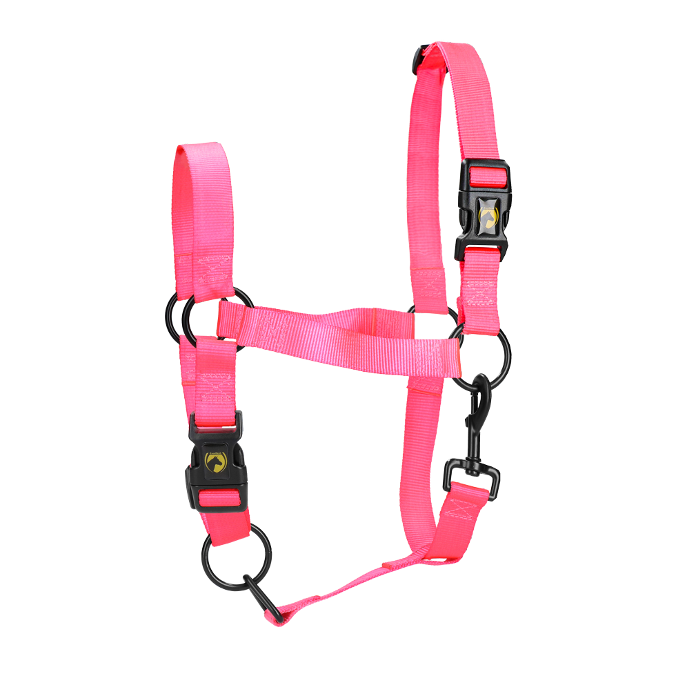 Excellent Essential Halfter Rosa M