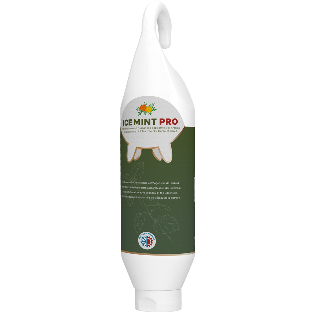 Ice Mint Pro Gel Steh- u. Hängeflasche 1 l